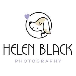 https://dachshundrescue.com.au/wp-content/uploads/2022/03/Helen-Black-Photography.jpg
